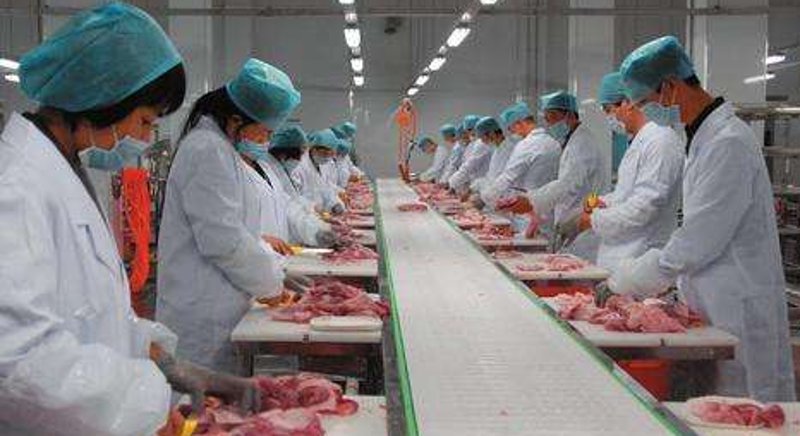 速冻食品生产：一场科技与美味的对话