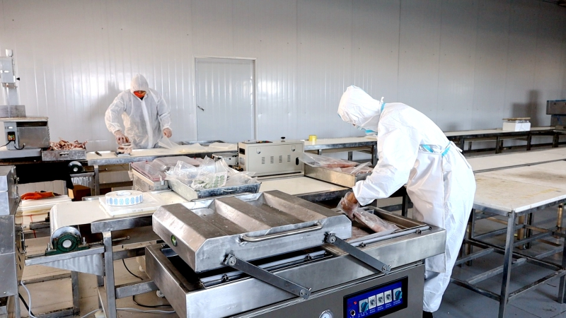 西平食品加工行业的创新之旅